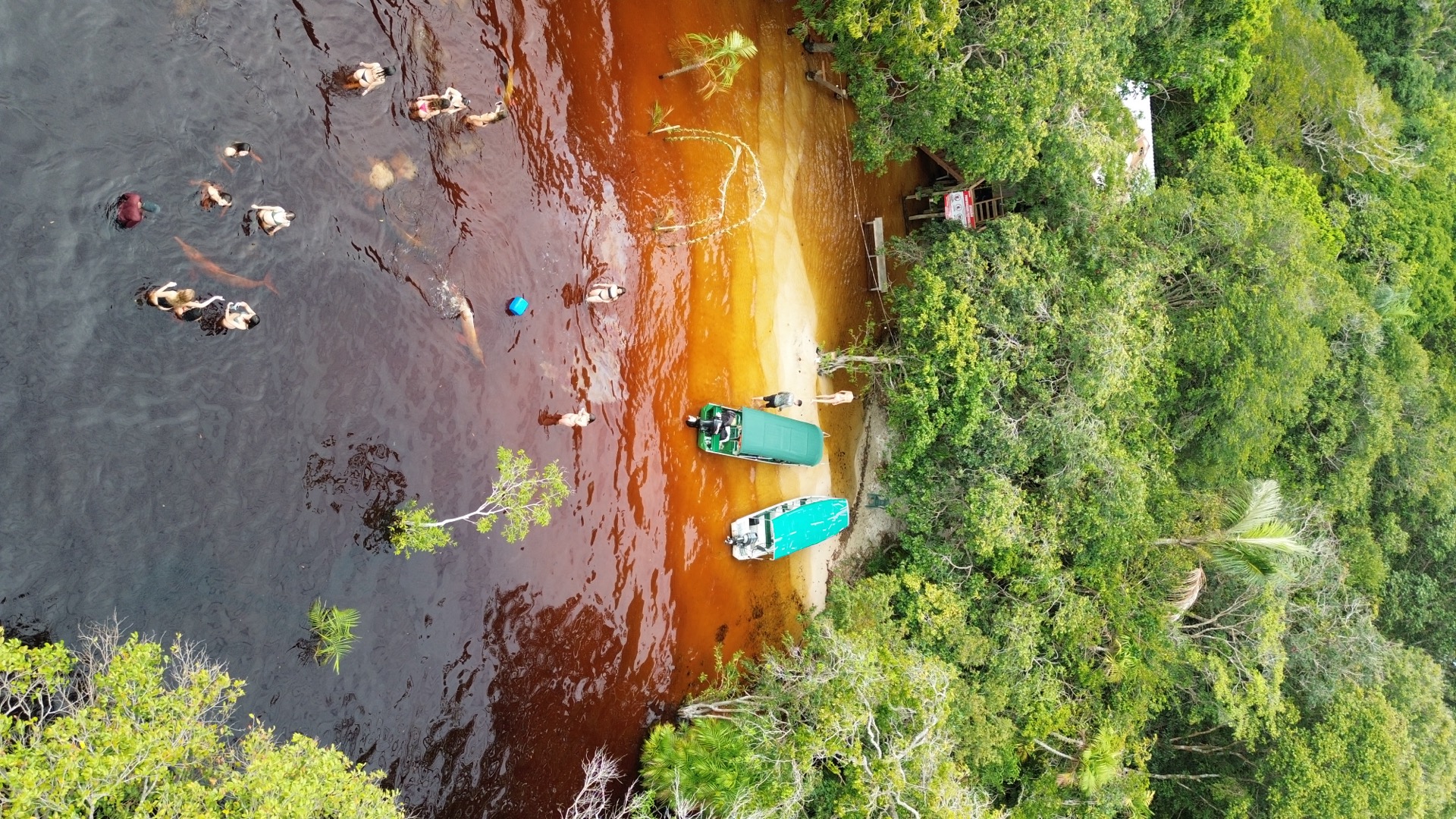 Amazônia